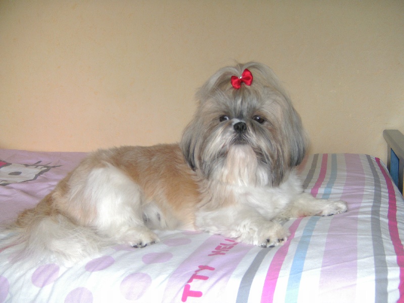 Frimousse 2 ans 